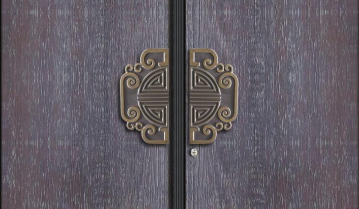 別墅入戶門非標(biāo)定制拉手